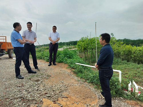 4fb88adabd520b6752bf75580f4b6076.png 省林業(yè)局2.png