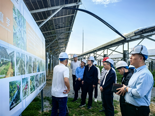 313fea9d63869d606f539b38d441e18b.png 佛岡縣委副書記劉政調(diào)研.png