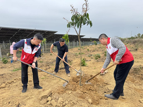 e0fefe32d5f28b95960265d02ee5ddb5.png 植樹1.png