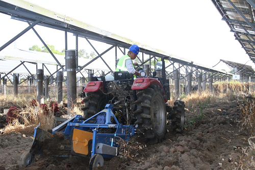 c0d04add30b7fa2504f1036e3e5acbf4.png 揭陽(yáng)農(nóng)墾舉辦魔芋產(chǎn)業(yè)推進(jìn)會(huì)4.png