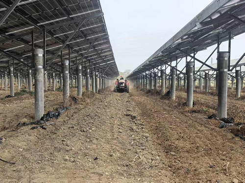 feec40023e746ba16fbc9d80735882e4.png 圖為葵潭農(nóng)場(chǎng)全面開展犁地備耕景象.png